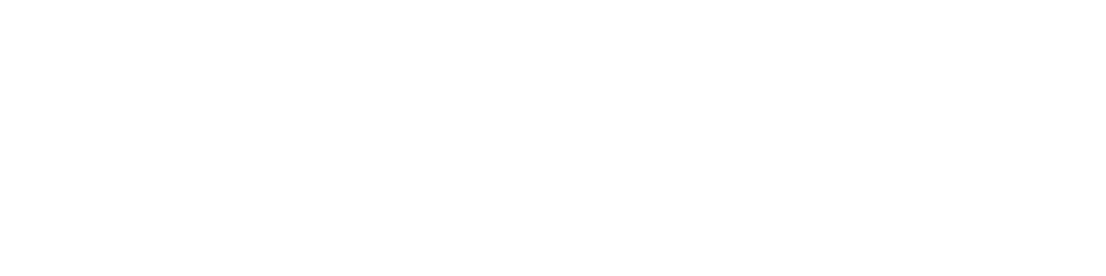 EV-IQ Logo in white